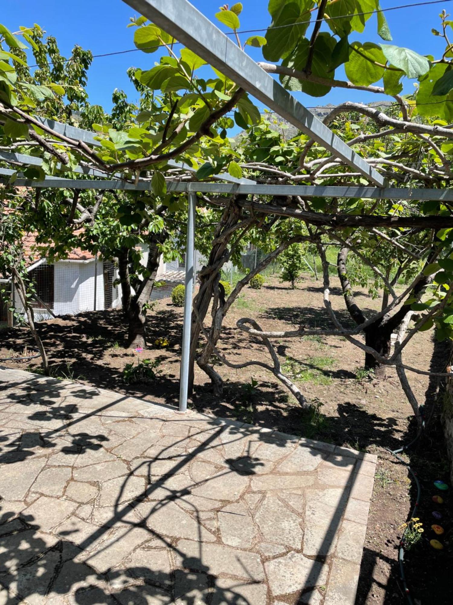 Lila'S Guest House Mikros Prinos Exterior foto